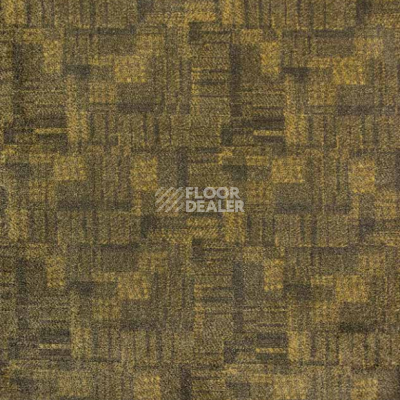 Ковролин Big Carus Golden Gate gg 003 27507 фото 1 | FLOORDEALER